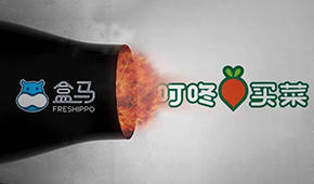 盒馬“炮轟”叮咚買菜，生意不好做大家都暴躁了？