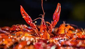 安井再次出手布局，小龍蝦已妥妥成為預(yù)制菜行業(yè)大單品