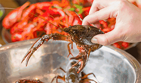 疫情之下，餐飲圈為啥都賣起了小龍蝦？
