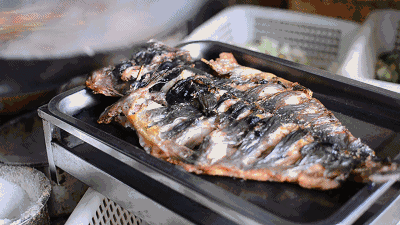 1654652497351155.gif 微信圖片_20220608093931.gif