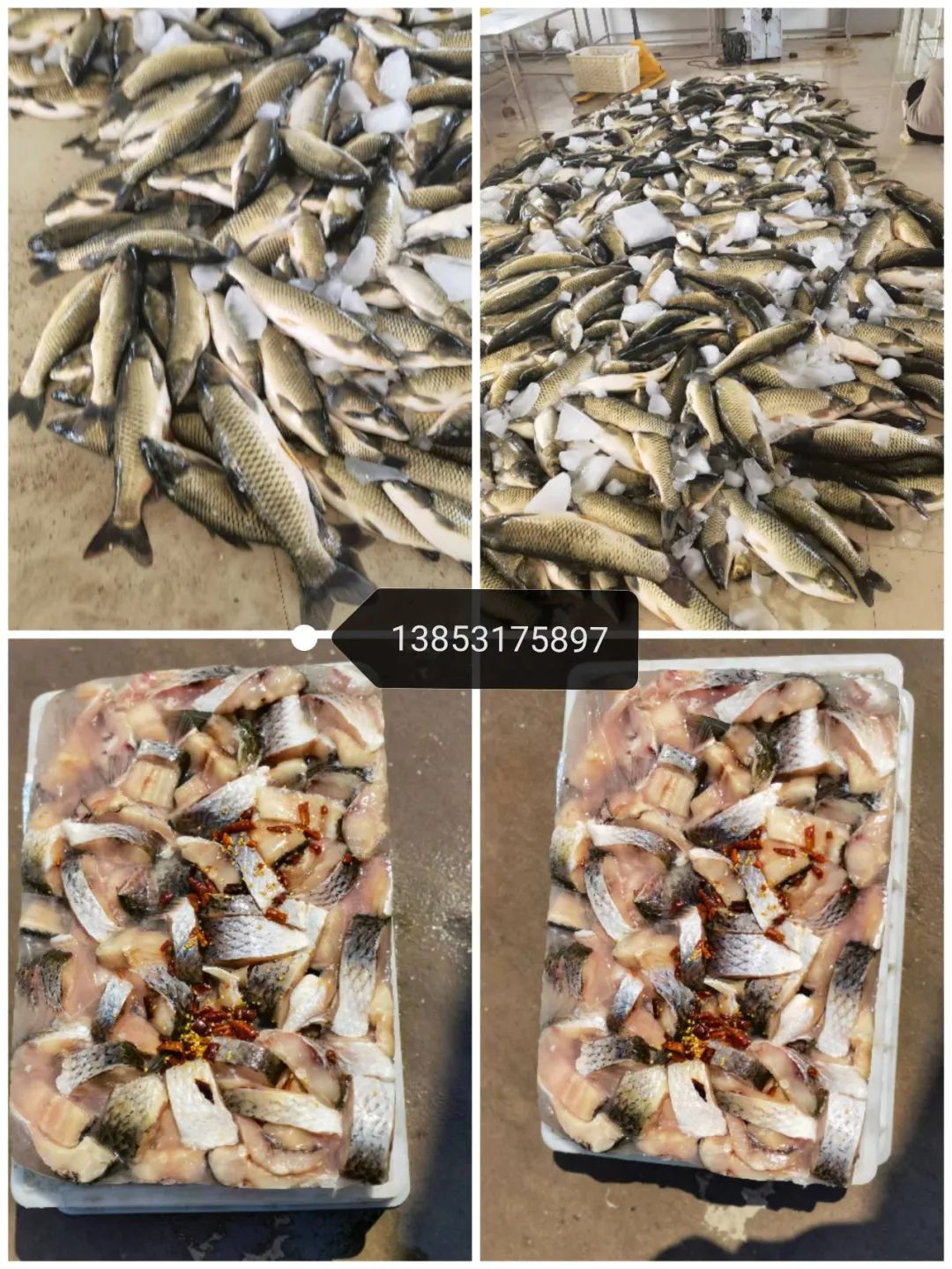 1656293595718426.jpg 1656293595718426.jpg