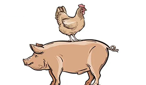 國慶長假后豬、雞價(jià)格雙升，發(fā)改委稱近期將投放第五批中央豬肉儲(chǔ)備