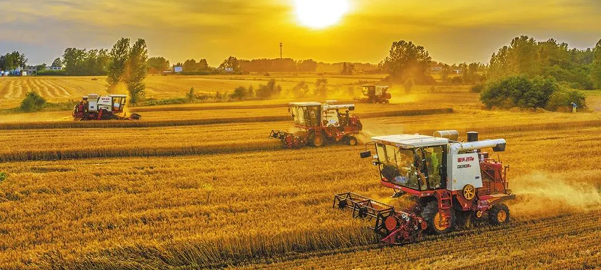 全國7/10的餃子、3/5的湯圓、1/2的火腿腸…河南這樣承包國人餐桌