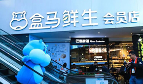 盒馬“移山”，山姆“殺馬”？會員制商超打起來了！