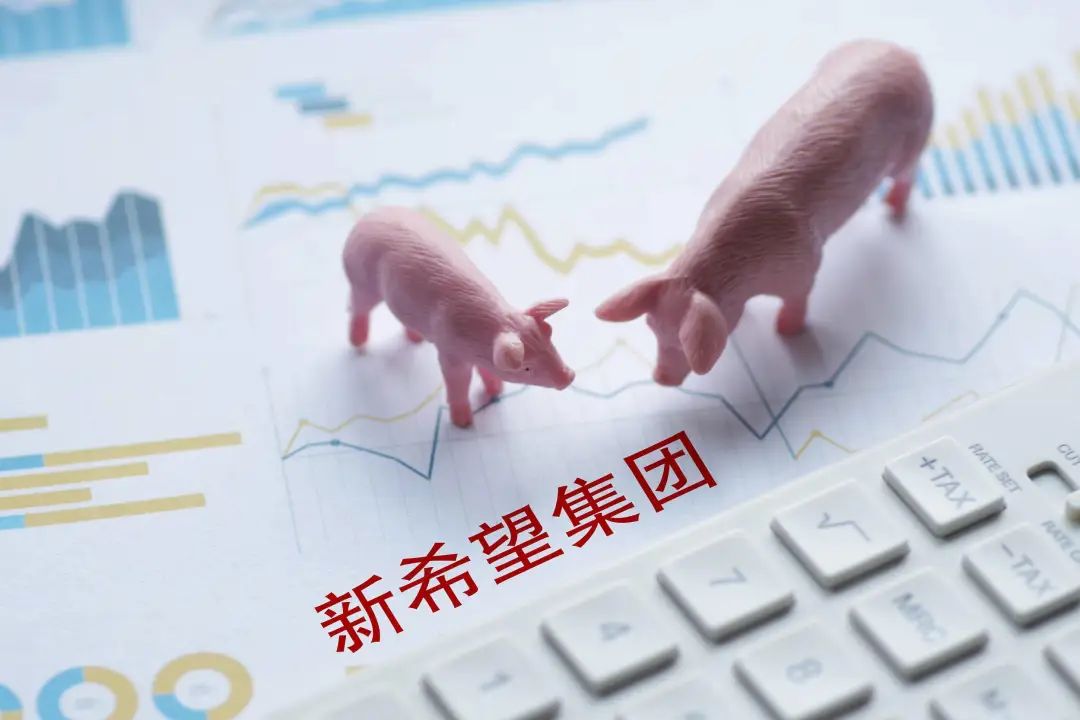 1696901328301018.jpg 1696901328301018.jpg