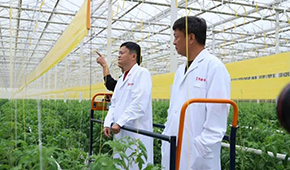 馬家廚房？馬家秘制老鴨煲？馬云的“假動作”為何讓市場興奮？