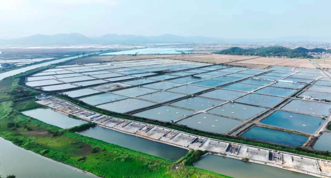 1705973680535195.png 1705973680535195.png