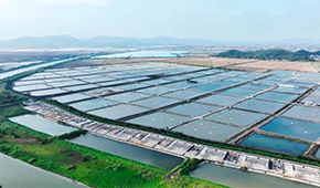 從魚塘到餐桌6重把控，半天妖攜手恒興“定向”養(yǎng)好一條魚