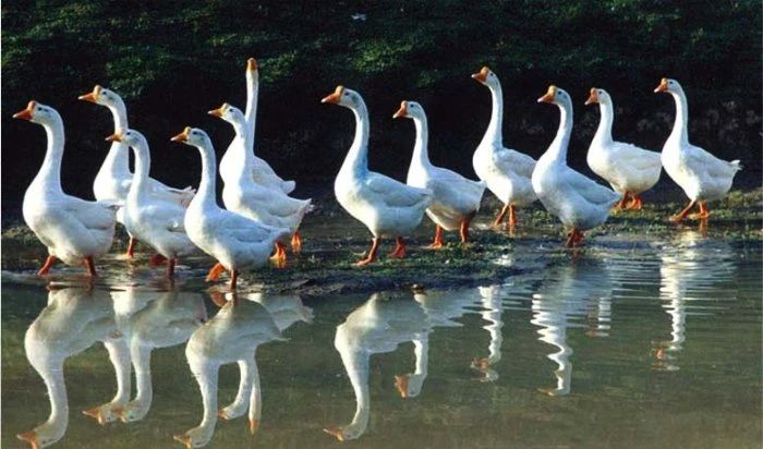 1708997623374743.jpg 1708997623374743.jpg