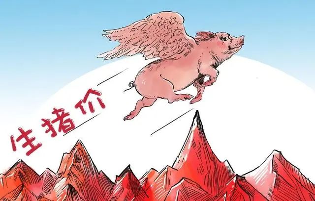 1716860701620055.jpg 1716860701620055.jpg