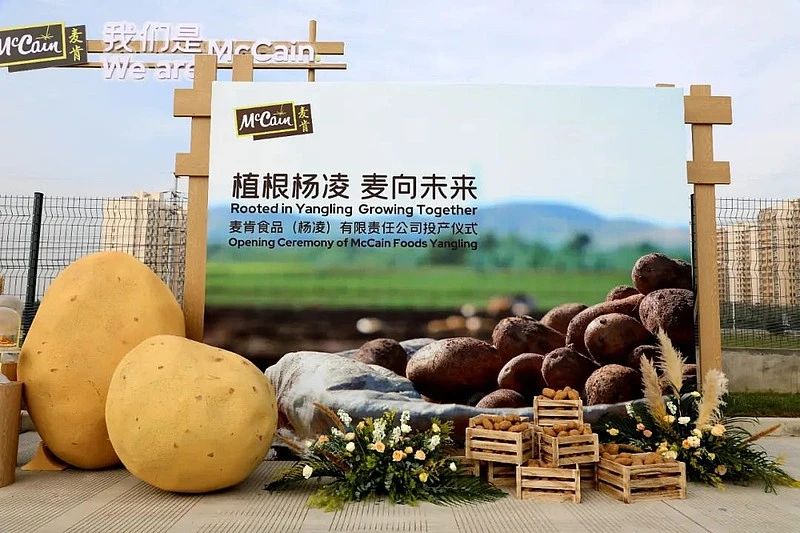 1718245121516629.jpg 1718245121516629.jpg