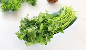 香菜餅、香菜丸、香菜油條、香菜小酥肉…香菜為啥這么“香”？