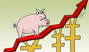 牧原、溫氏、新希望…業(yè)績大漲，扭虧為盈，豬企龍頭集體走出“至暗時刻”？