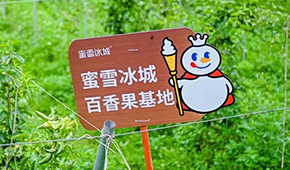 今日上市！覆蓋全球六大洲38個國家，“雪王”的采購網到底有多牛？