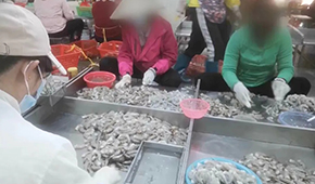 3·15晚會(huì)曝光凍蝦仁超量添加保水劑，相關(guān)企業(yè)產(chǎn)品下架